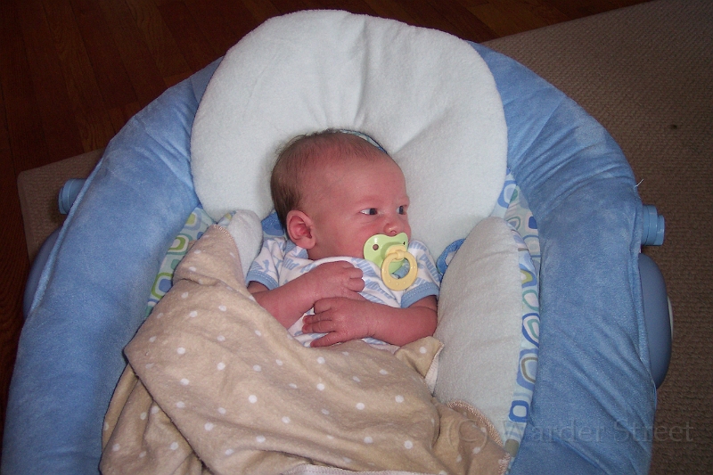 William's Second Week 22.jpg